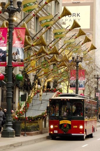 Trolley Bus Tour