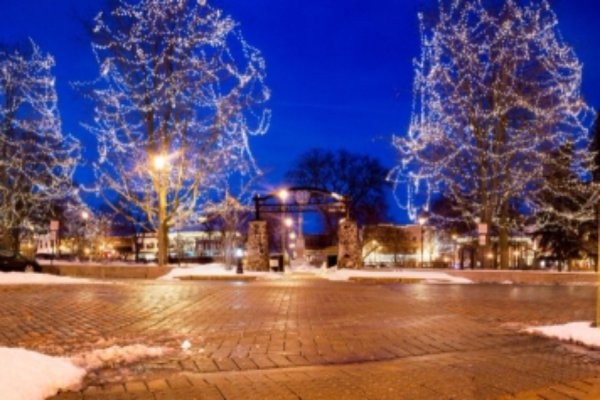 tree, christmas decoration, night, winter, christmas tree,