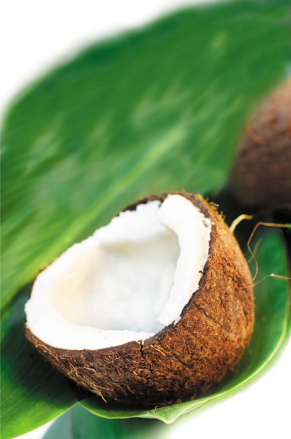 Coconut Oil