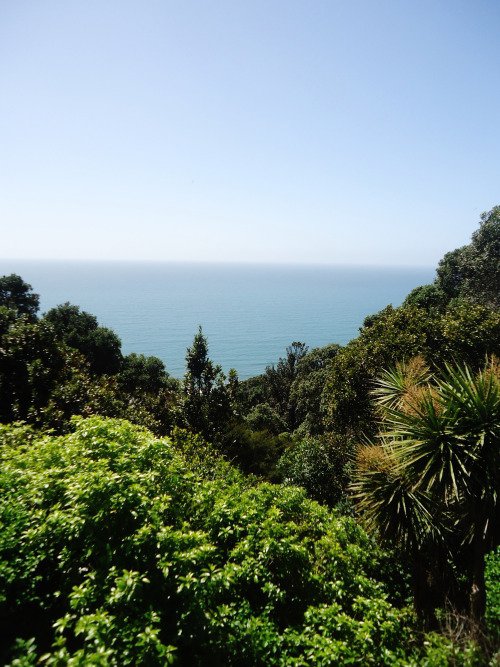 The Bay of Plenty is the Best Part of New Zealand