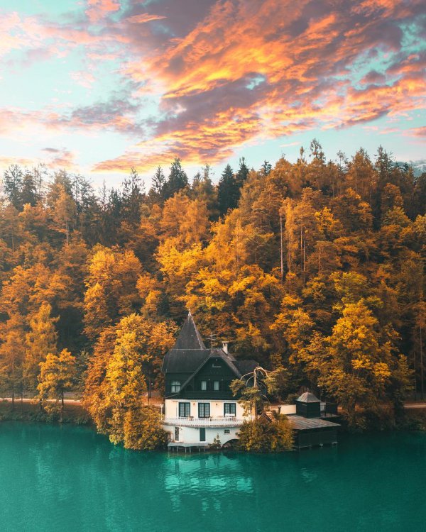 reflection, nature, sky, leaf, water,