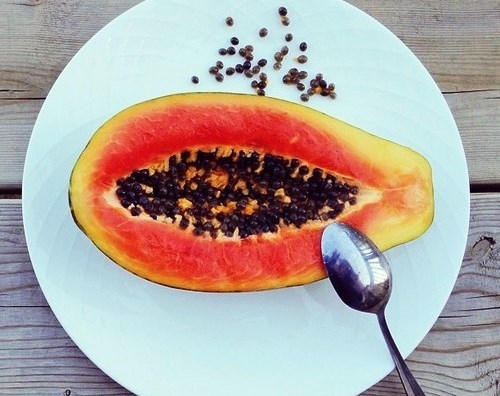 Papaya