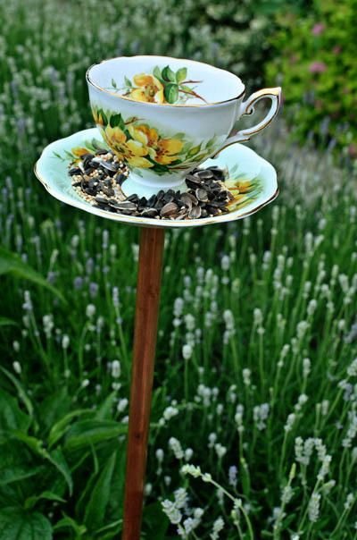 Another Bird Feeder Idea!