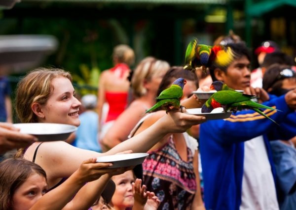 Meet Some Genuine Aussies at the Gold Coast's Currumbin Wildlife Sanctuary