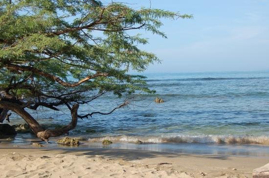Treasure Beach, Jamaica