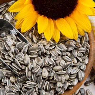 food, sunflower seed, plant, flower, vegetarian food,