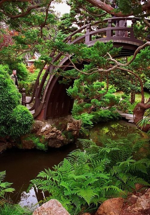 The Japanese Tea Garden