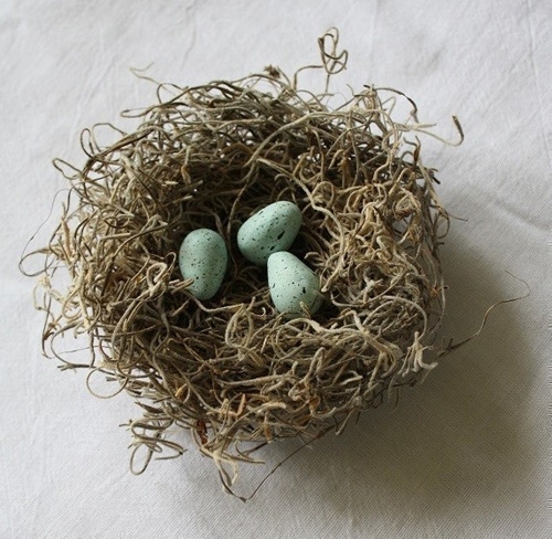 Robin’s Nest