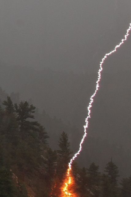 Lightning Strikes Pine Tree