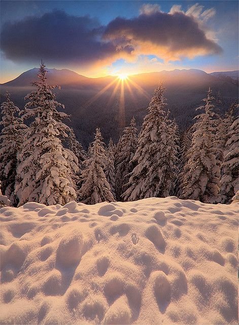 Hurricane Ridge