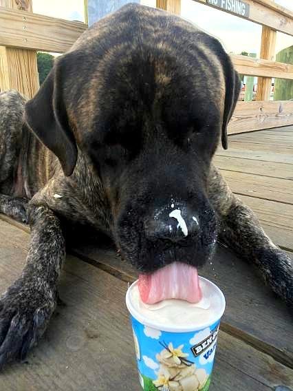 Eat Ice Cream on a Dock