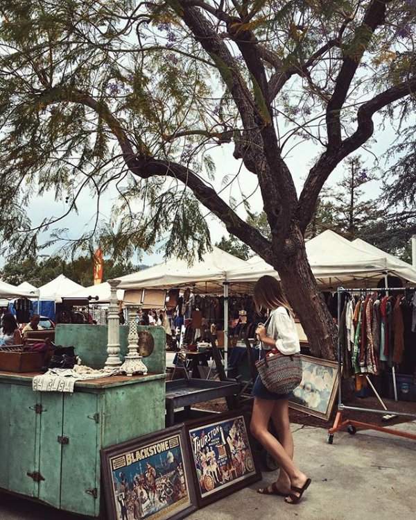 vehicle, adventure, safari, BLACKSTONE,