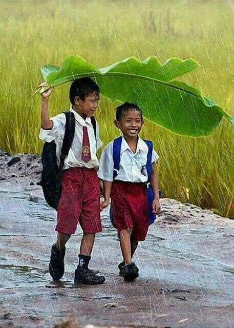 Leaf Umbrella