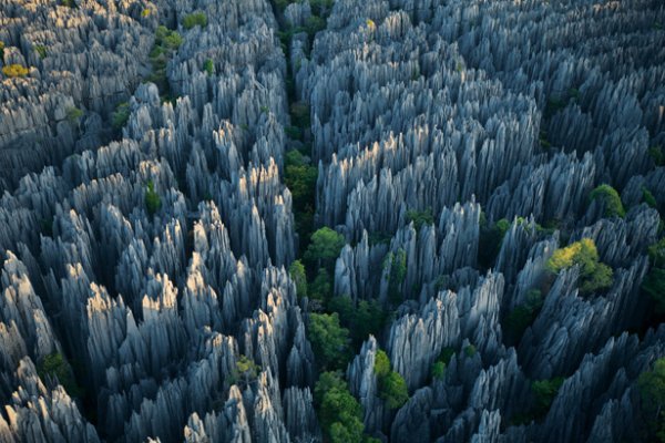 Tsingy Stone Forest in Madagascar