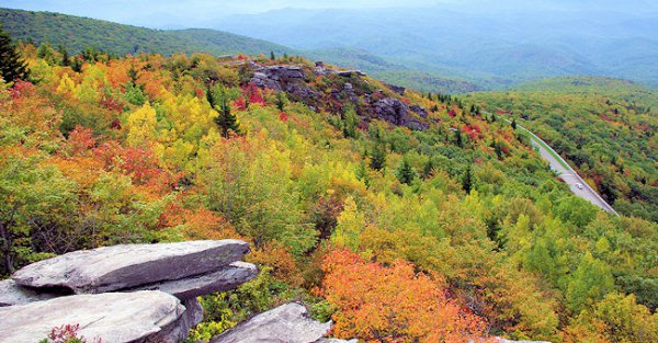 mountainous landforms, nature reserve, vegetation, wilderness, ridge,