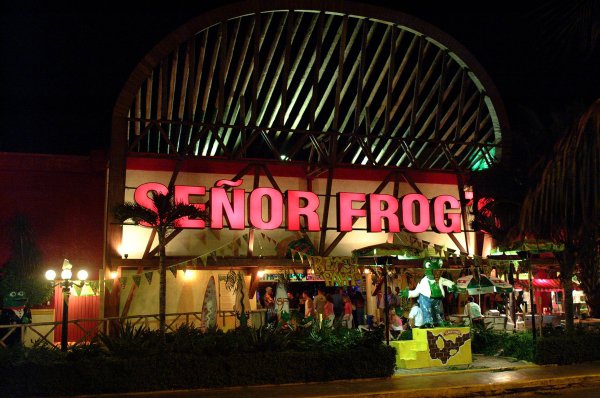 Senor Frogs