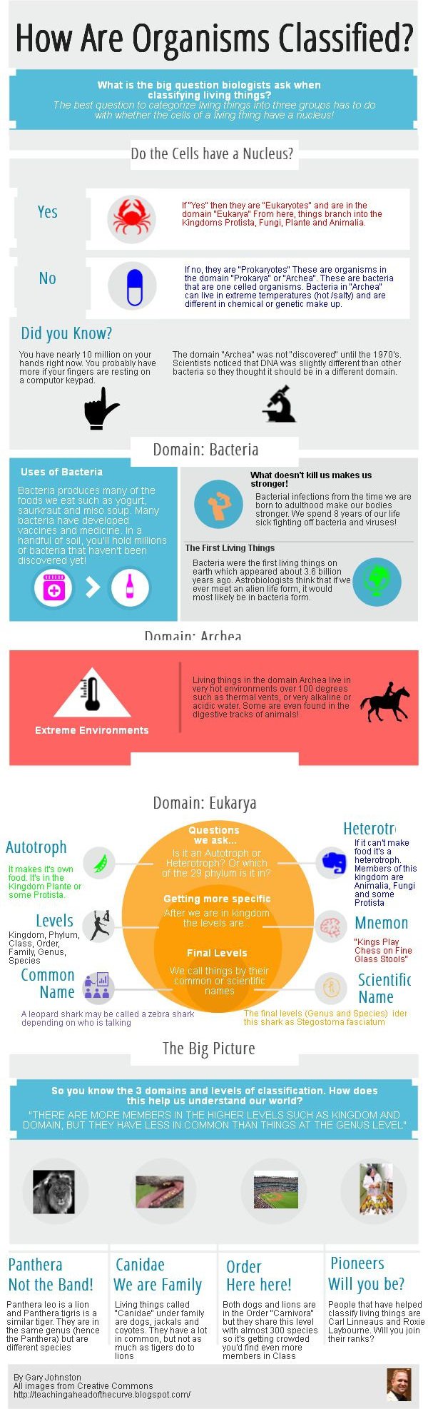 The Classification of Organisms