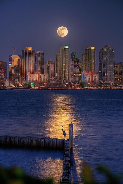 skyline,horizon,reflection,city,night,