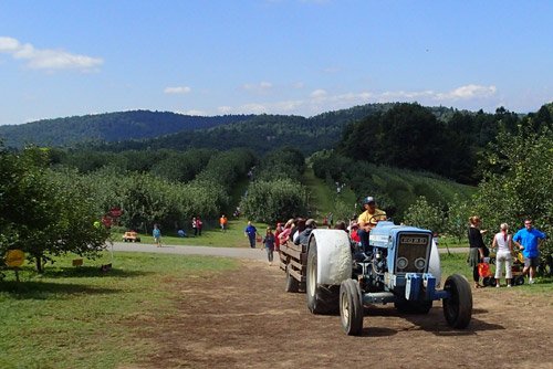 Sky Top Orchard, North Carolina