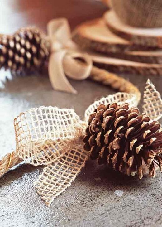 Pinecone Decoration