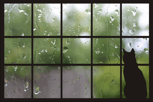 green,leaf,window,texture,reflection,