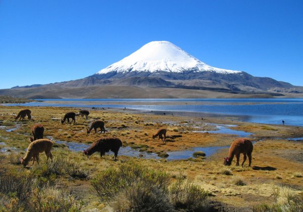 Dance the Cumbia in Chile