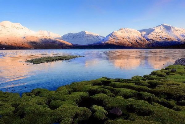 The Scottish Highlands, Scotland