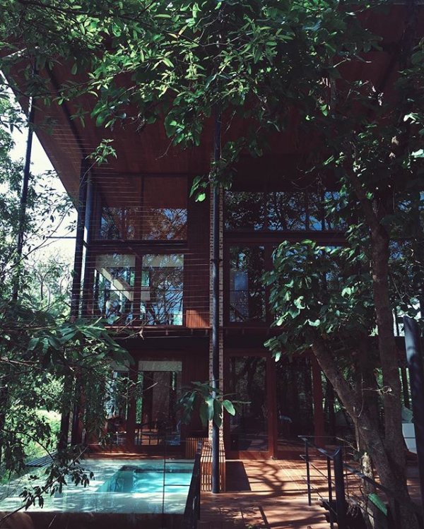 tree, outdoor structure, building, saK, onca,