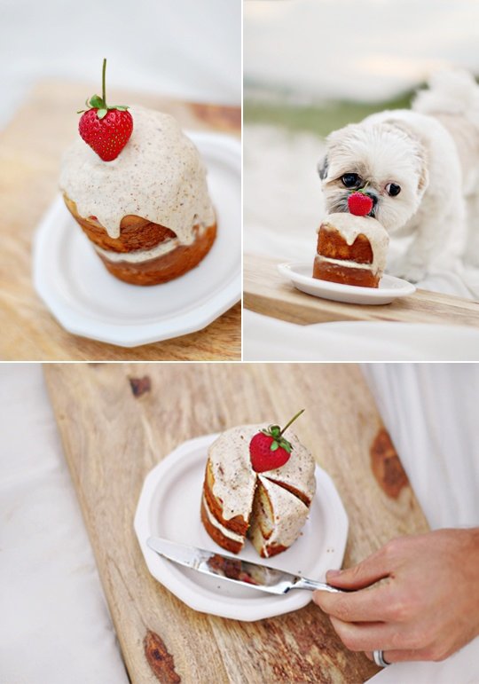 Homemade Dog Cake