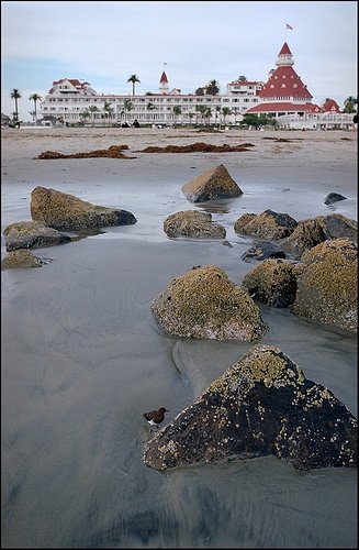 Hotel del Coronado,shore,sea,coast,water,