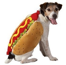 Hot Dog