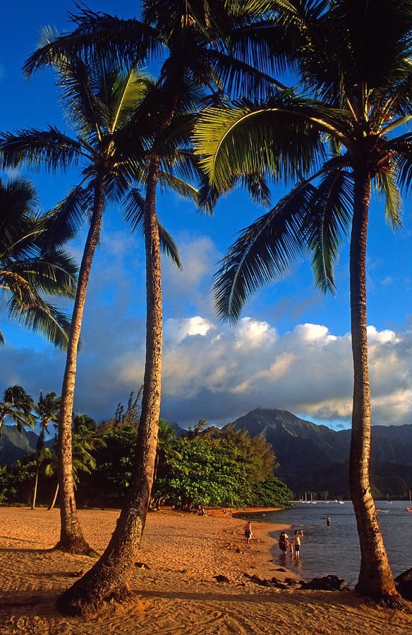 Hanalei Beach, Hanalei, Ha