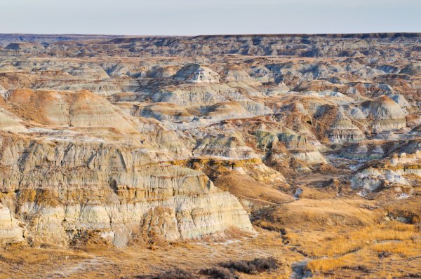 Go Jurassic at Dinosaur Provincial Park