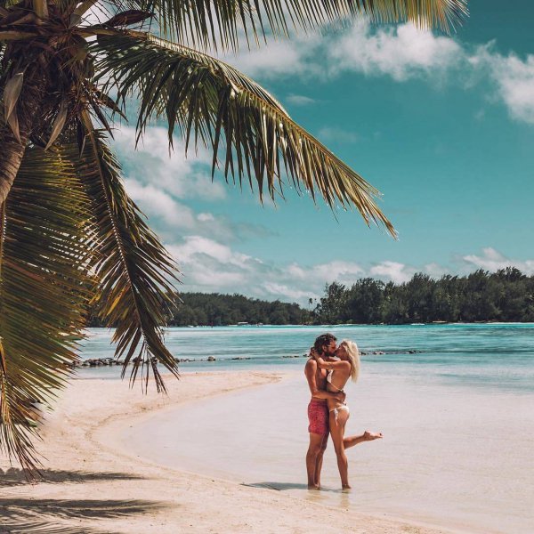 People on beach, Vacation, Tree, Beach, Palm tree,