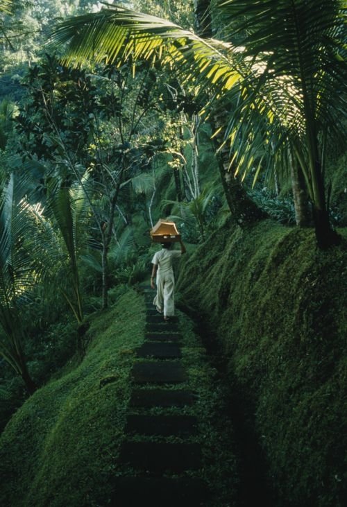 Mystic Ubud, Bali