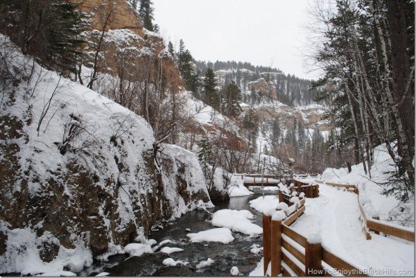 snow, winter, weather, tree, geological phenomenon,