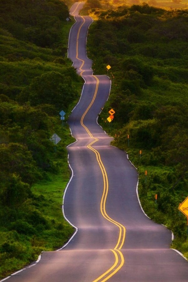 Drunk Highway, Maui