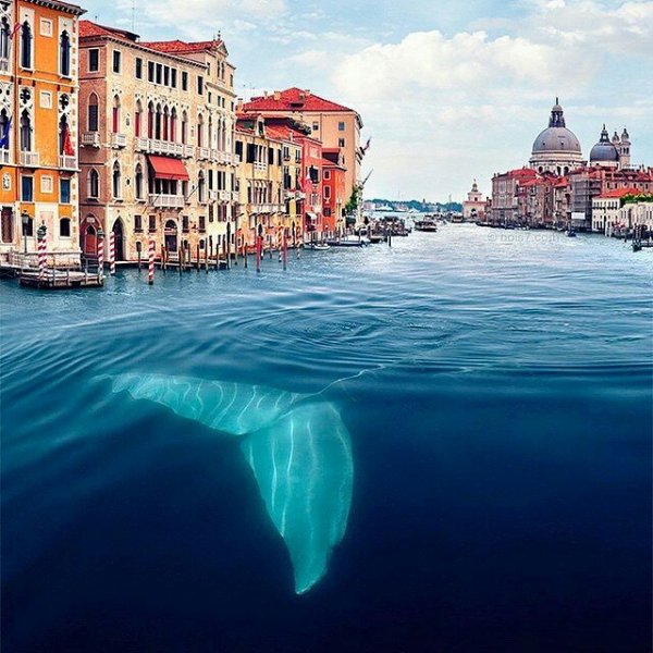 Grand Canal, blue, sea, reflection, cityscape,