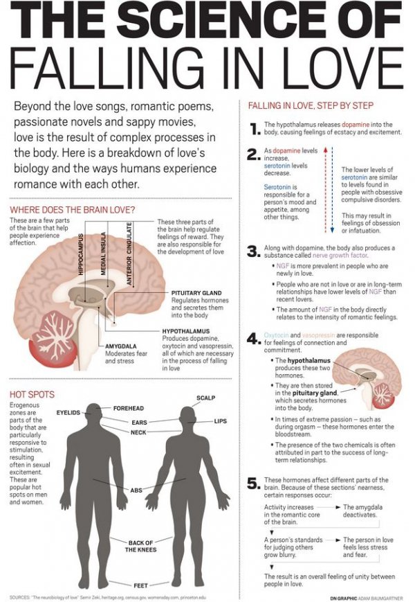 diagram,brand,THE,SCIENCE,FALLING,