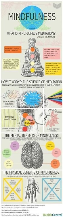 biology,advertising,MINDFULNESS,WHAT,MINDFULNESS,