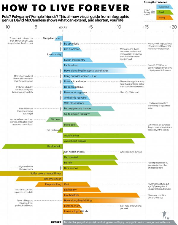 text,web page,diagram,line,font,