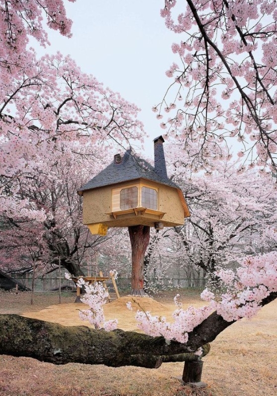 Treehouse…