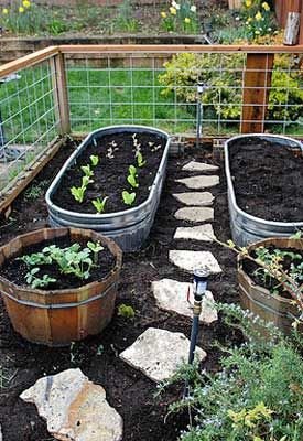 Raised Bed Gardening