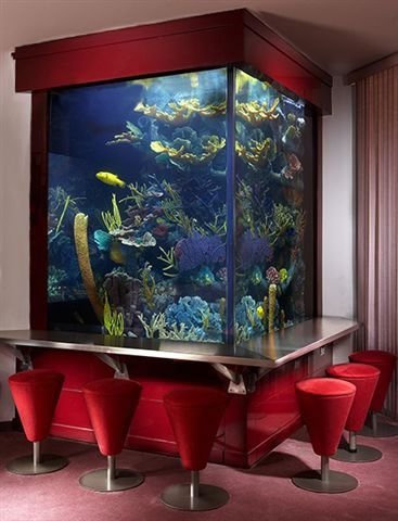 room,interior design,display device,aquarium,