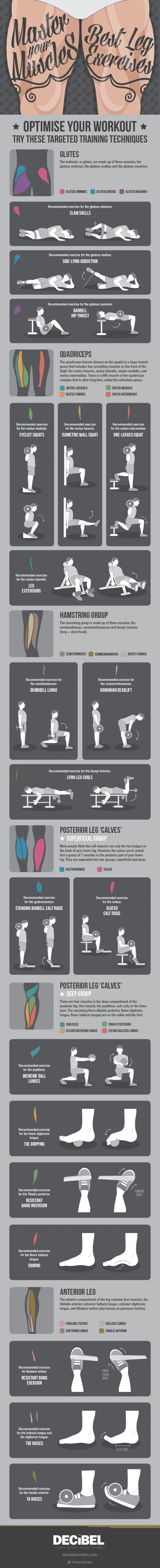 Best Leg Exercises