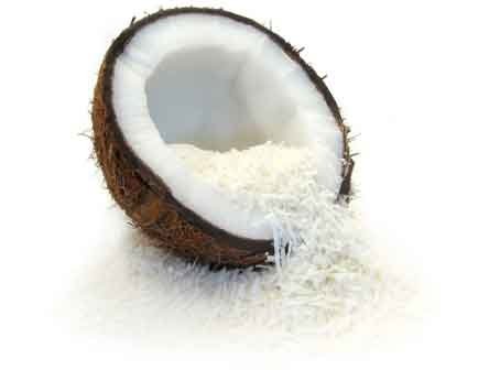 Coconut