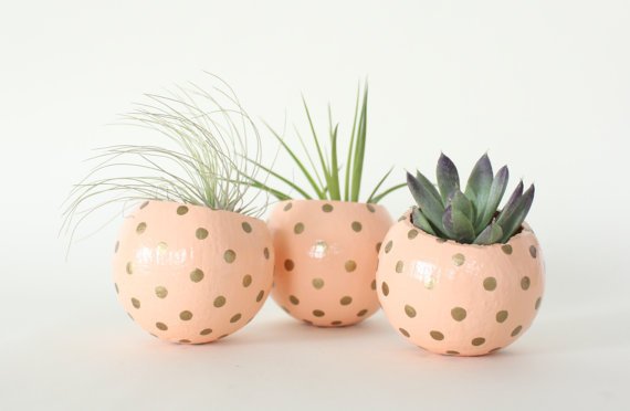 Peach & Gold Planters