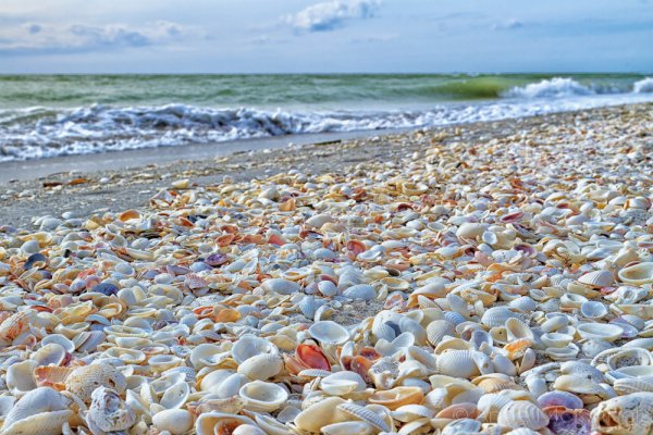 Best US Place for Shelling: Sanibel Island, Florida