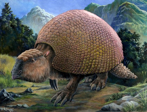 The Giant Armadillo