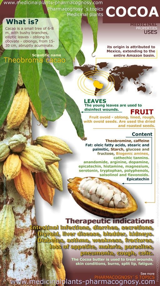 Cacao Benefits